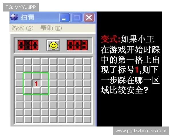PG娱乐手机官方地址安全验证方法，确保玩家在官方平台上安全游戏无忧